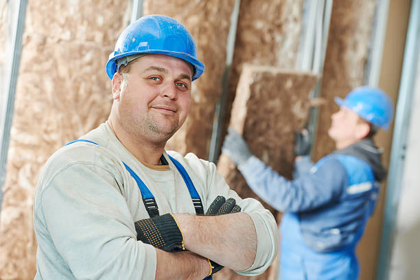 Best Cellulose Insulation  in Bowmanstown, PA