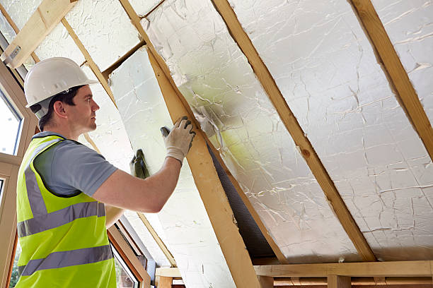 Best Energy-efficient Insulation  in Bowmanstown, PA